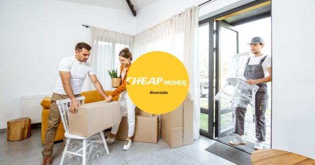 Best Movers And Packers of 2025