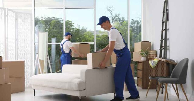 Searching for complete packing and moving solutions