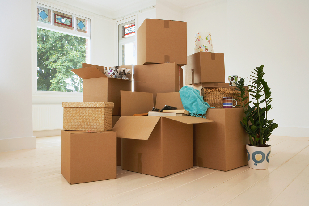 Hate moving house?