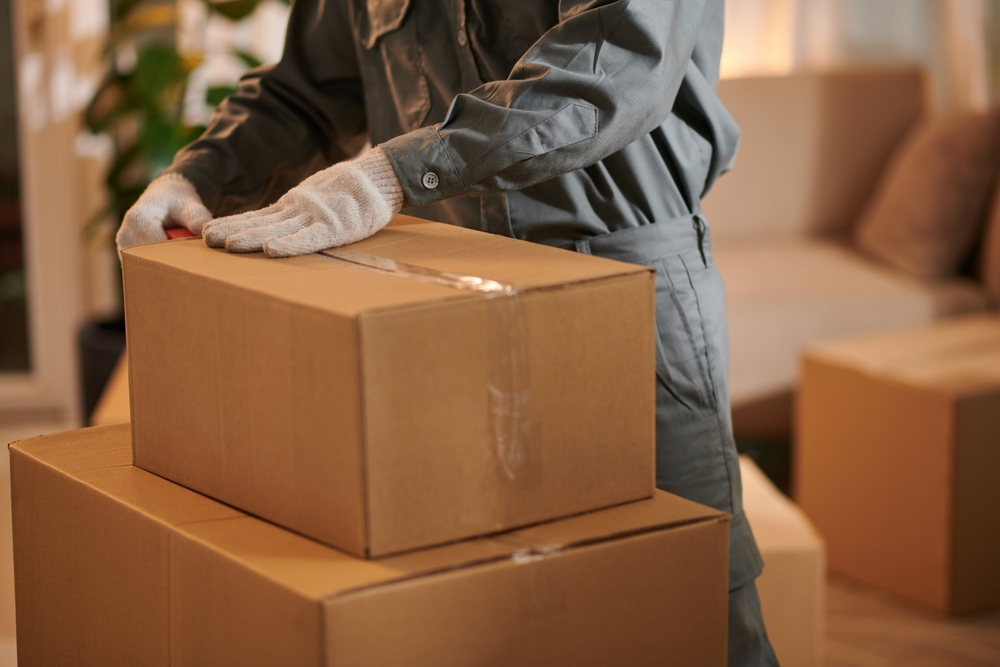 The Ultimate Guide to Mover Boxes